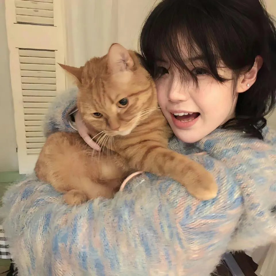 深夜食堂：东京故事2